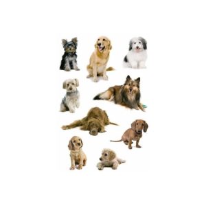 HERMA DECOR Adhésif décoratif photos de chiens 3 feuilles papier – Image 1