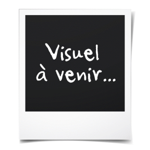 HERMA DECOR Adhésif décoratif photos de chiens 3 feuilles papier – Image 3